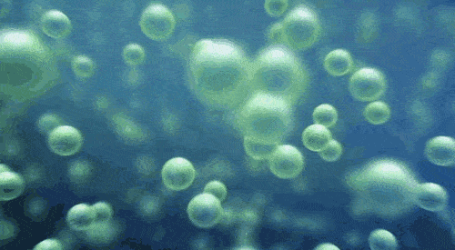 water molecules