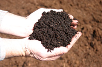 alternative soil pafcal