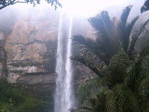 Gocta Falls