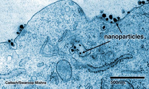 cancer-nanobots