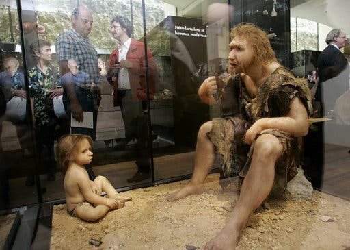 Visitors of the Museum for Prehistory in Eyzies-de-Tayac, France observe a Neanderthal man ancestor's reconstruction (AFP/File, Patrick Bernard)