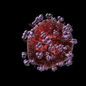 3D model of the HIV virus.