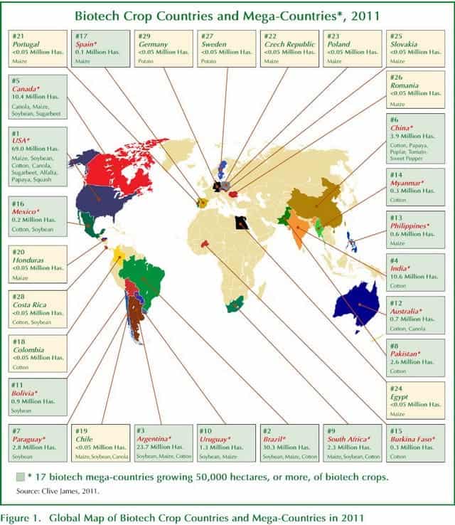 Biotech Crops Farming Countries 2011