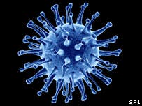 Research on Zoonotic (Animal Origin) Influenza (Flu) Viruses of Public Health Concern