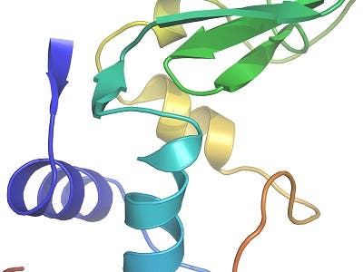 The structure of the protein lysozyme, the first ever molecule to have its architecture revealed. Depicted is the schematic of the spatial arrangement of the 129 amino acids shown in the form of spirals (helices) and arrows (pleated sheets). © MPI for Medical Research
