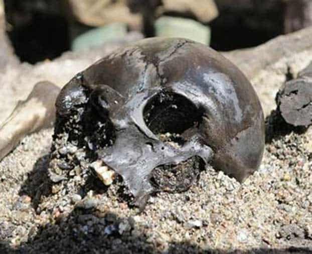 A fractured skull lies among the remains of hundreds of warriors in a Danish bog. Credit: Ejvind Hertz, Skanderborg Museum; 