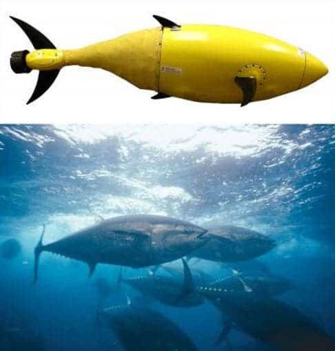 The BIOSwimmer nautical robot takes its inspiration from the tuna. (c) Department of  Homeland Security. 