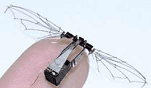 A photo of  a Robobee, a tiny flying robot-bee currently in developement in a project independent of the one currently featured in this piece. (c) Harvard School of Engineering and Applied Science
