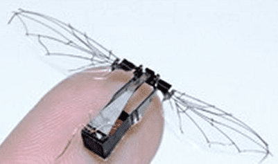 A photo of a Robobee, a tiny flying robot-bee currently in developement in a project independent of the one currently featured in this piece. (c) Harvard School of Engineering and Applied Science