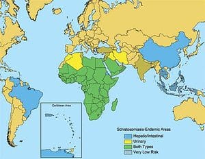 schistosomiasis world map