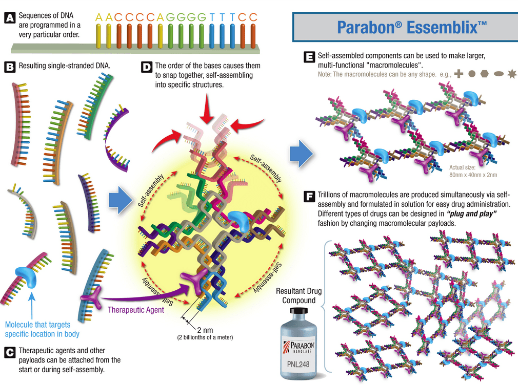 Parabon Essemblix process (credit: Parabon NanoLabs)