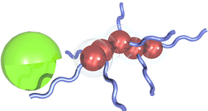 The particles (brown) are coated with peptides (blue) that are cleaved by enzymes (green) found at the disease site