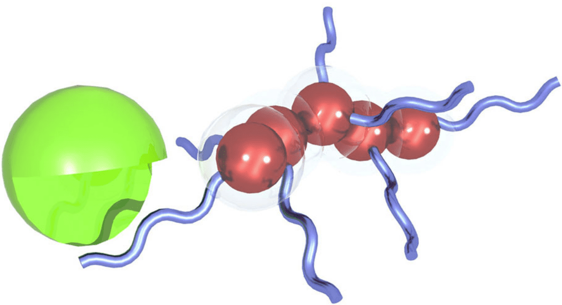The particles (brown) are coated with peptides (blue) that are cleaved by enzymes (green) found at the disease site