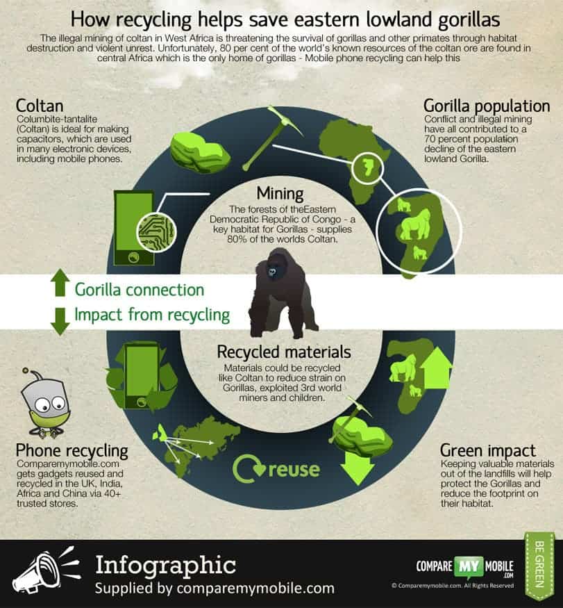 Infographic phone recycling