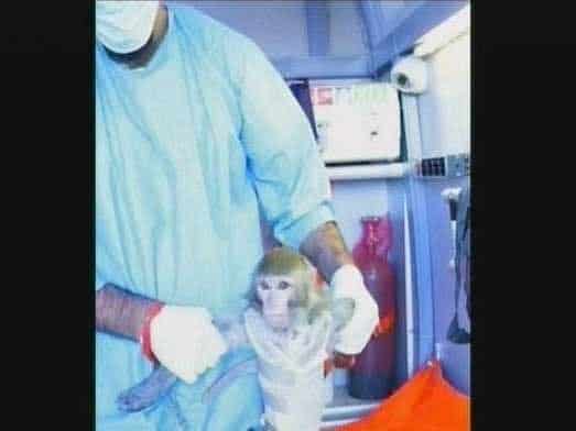 An Al-Alam TV image from Monday shows a man at an unknown location with a monkey said to have been into space. Iran on Monday sent a capsule containing a live monkey into space and later retrieved the 