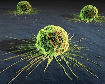 jx-594-anti-cancer-virus