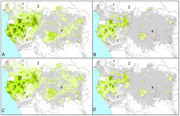 Elephant dung density and range reduction across the Central African forests. . Increasingly darker shades of green correspond to higher densities, grey represents extremely low elephant density rang and  and white is non-habitat. (c) PLoS One