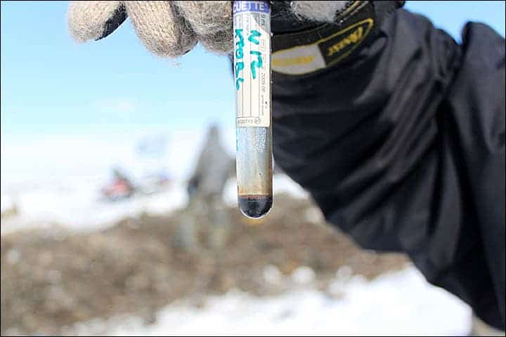 This flask has flowing mammoth blood. 'For now our suspicion is that mammoth blood contains a kind of natural anti-freeze'. Picture: Semyon Grigoriev