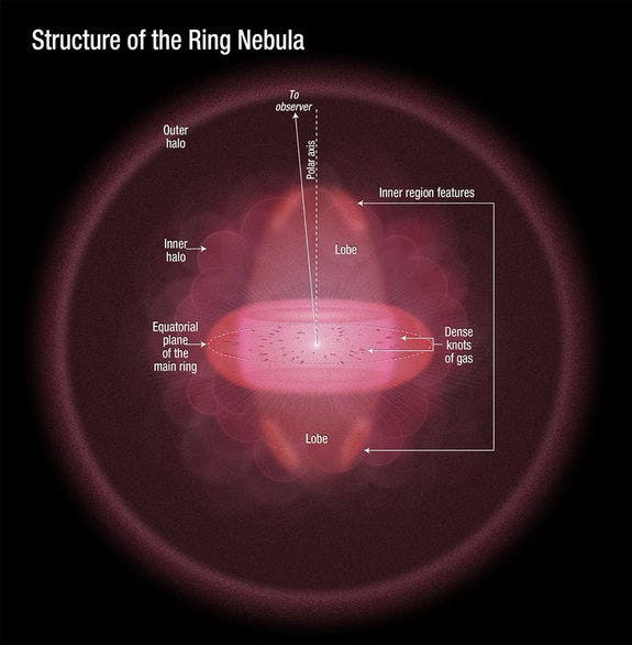  The doughnut-shaped feature in the center of the graphic is the main ring. The lobes above and below the ring comprise a football-shaped structure that pierces the ring. Dense knots of gas are embedded along the ring's inner rim. Illustration courtesy of NASA
