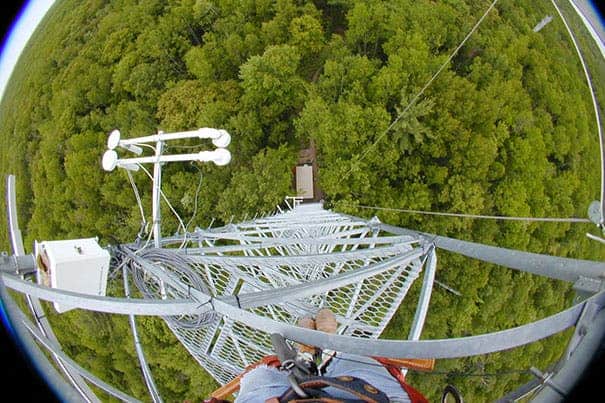 Fisheye view from a data collection forest tower. (c) Harvard University