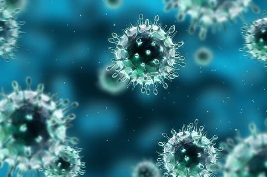 Digital illustration of the flu virus.