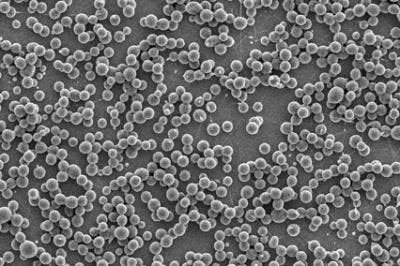  Perfect microspheres were produced using 4 percent by weight of the polymer. (c) Mohammad Reza Abidian