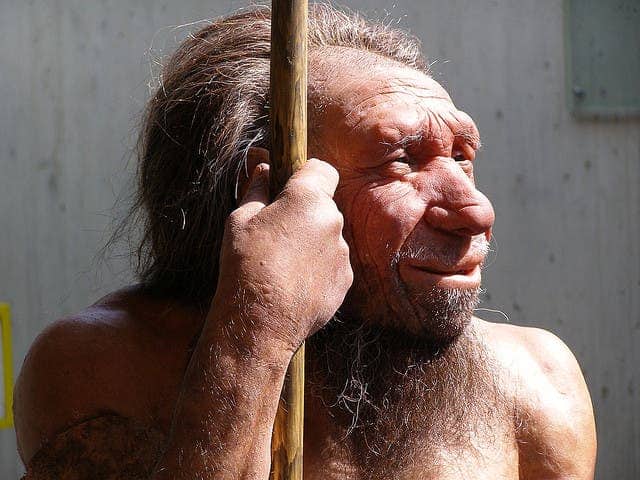 Reconstruction of a Neanderthal. Photo credit: erix!