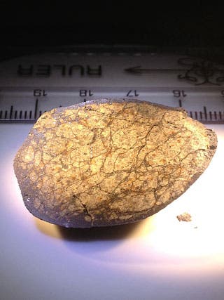 A slice through a fragment of the meteorite shows numerous veins from a long-ago impact shock that weakened the original object. (Qing-zhu Yin/UC Davis photo)