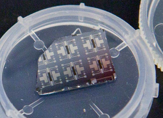 Several prototypes of the synaptic transistor are visible on this silicon chip. (Photo by Eliza Grinnell, SEAS Communications.)