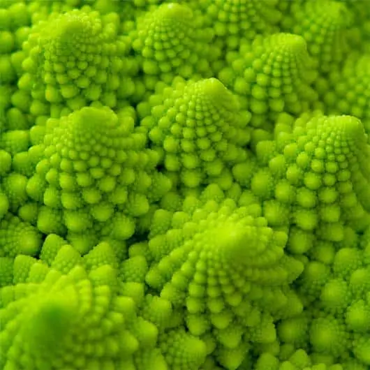 https://www.zmescience.com/science/news-science/how-the-cauliflower-got-its-mesmerizing-fractals/