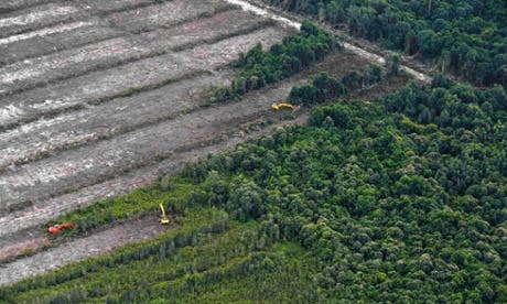 A scene of devastation is captured in an aerial survey mission by Greenpeace on Indonesia's Borneo island. Photograph: Bay Ismayo/AFP/Getty Images
