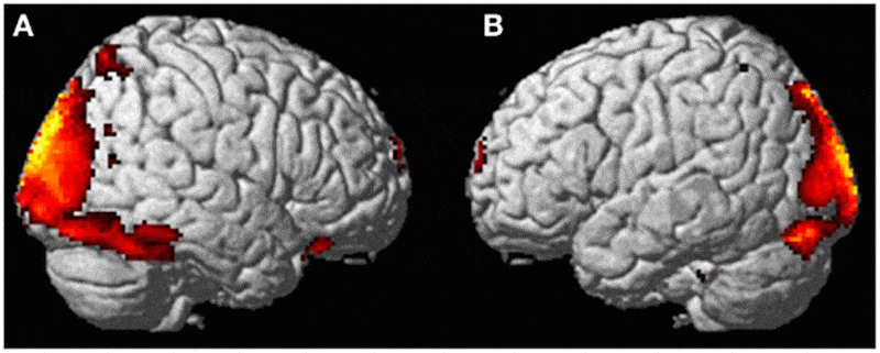 fmri out of body