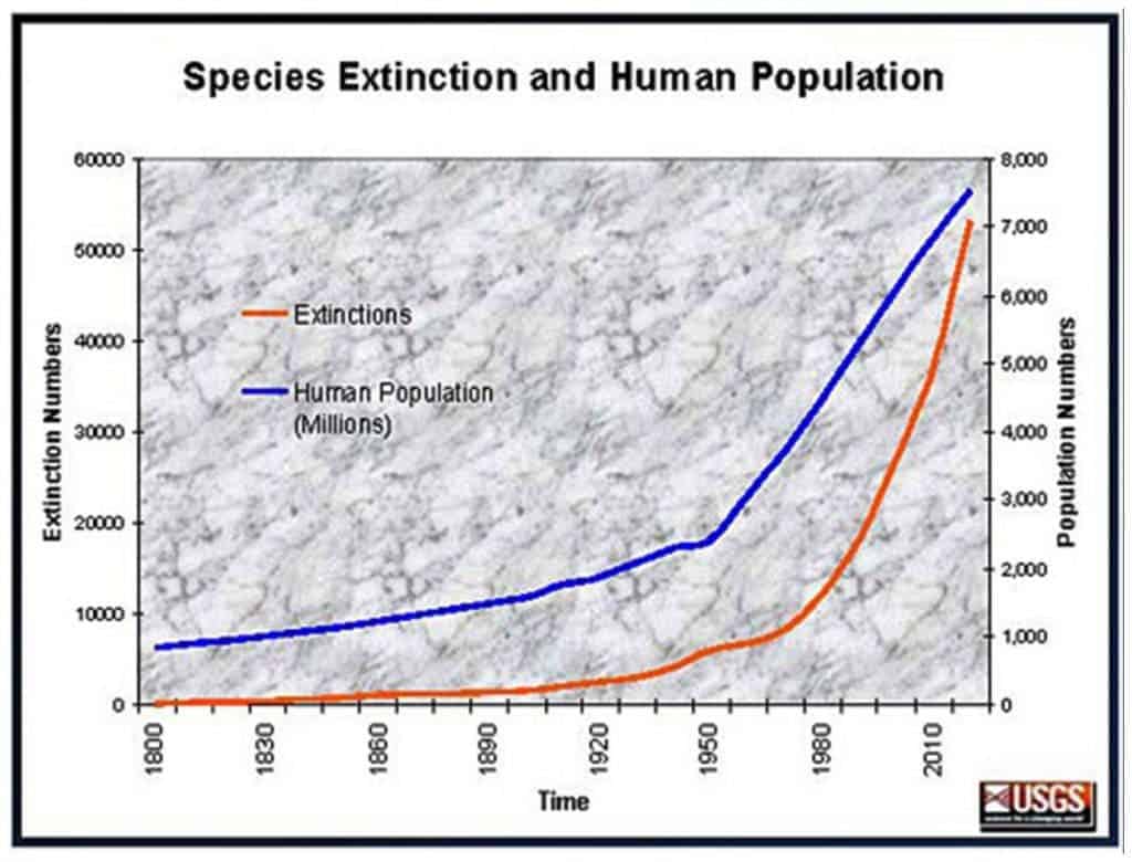 The rate of extinctions on Earth has grown tremendously following the industrial revolution. 