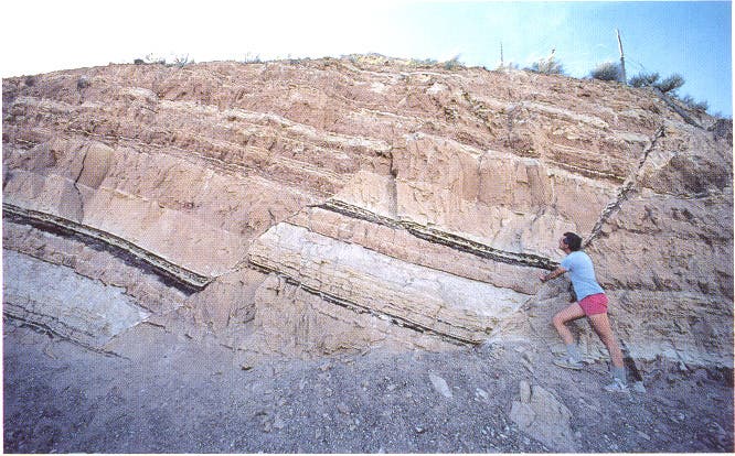 GeoPicture of the Week: Geologic Faults