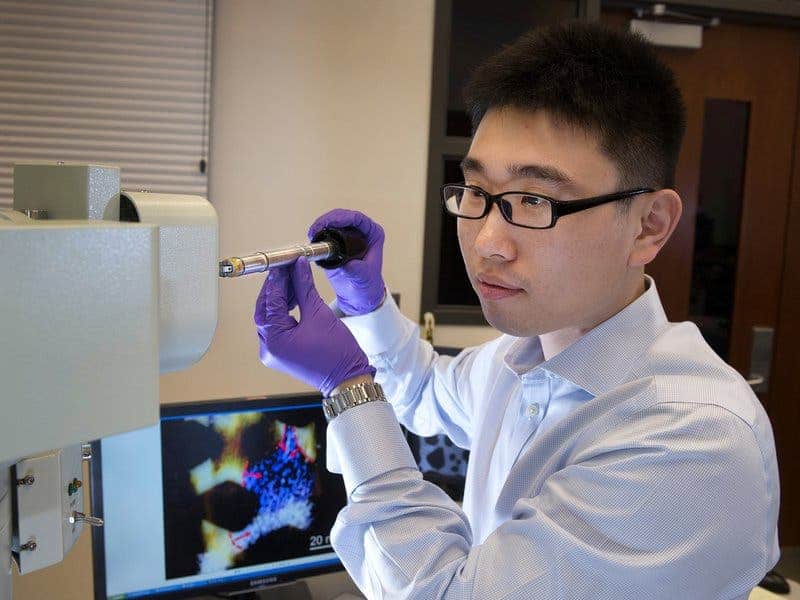 Materials scientist Huolin Xin is the lead author of the two studies that sought to find which are the dominant factors that lead to life cycle degradation in rechargeable batteries. Photo: (Brookhaven National Laboratory)