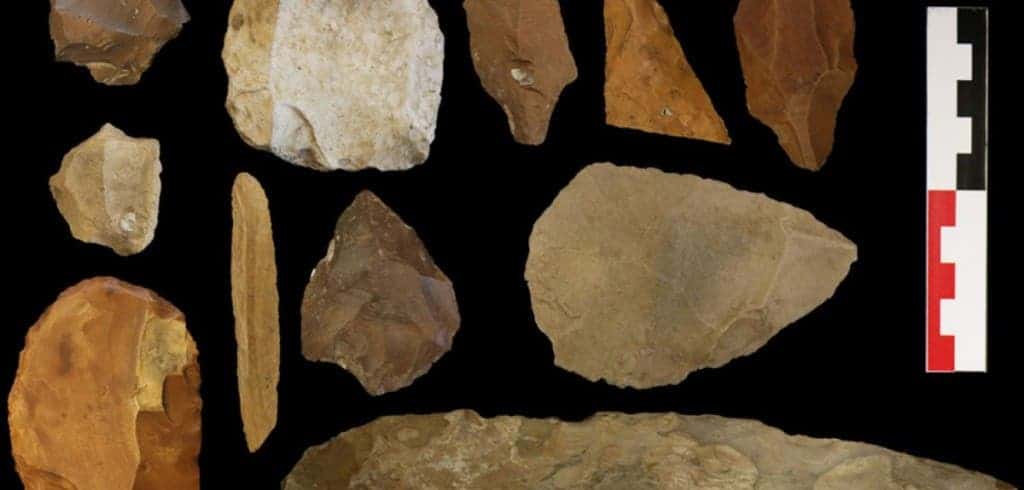 Stone tools from Kharga Oasis, Egypt, one of the archaeological sites used in the study. Photograph reproduced with kind permission from The British Museum