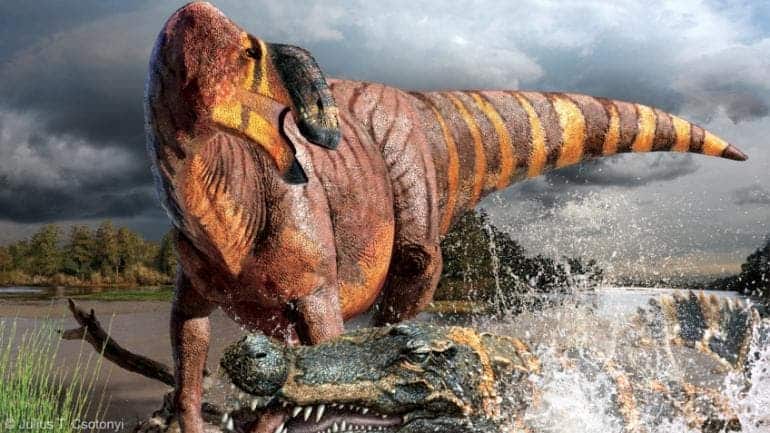 Artist impression of Rhinorex - the Jimmy Durante of dinosaurs. Image: Julius Csotonyi/NC State University