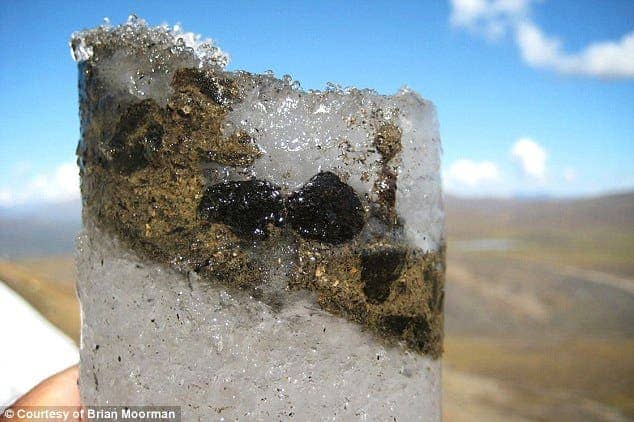 An image of frozen caribou feces. Image credits: Brian Moorman.