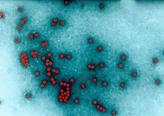 The Polio Virus. Credit: © Institut Pasteur / C. Dauguet