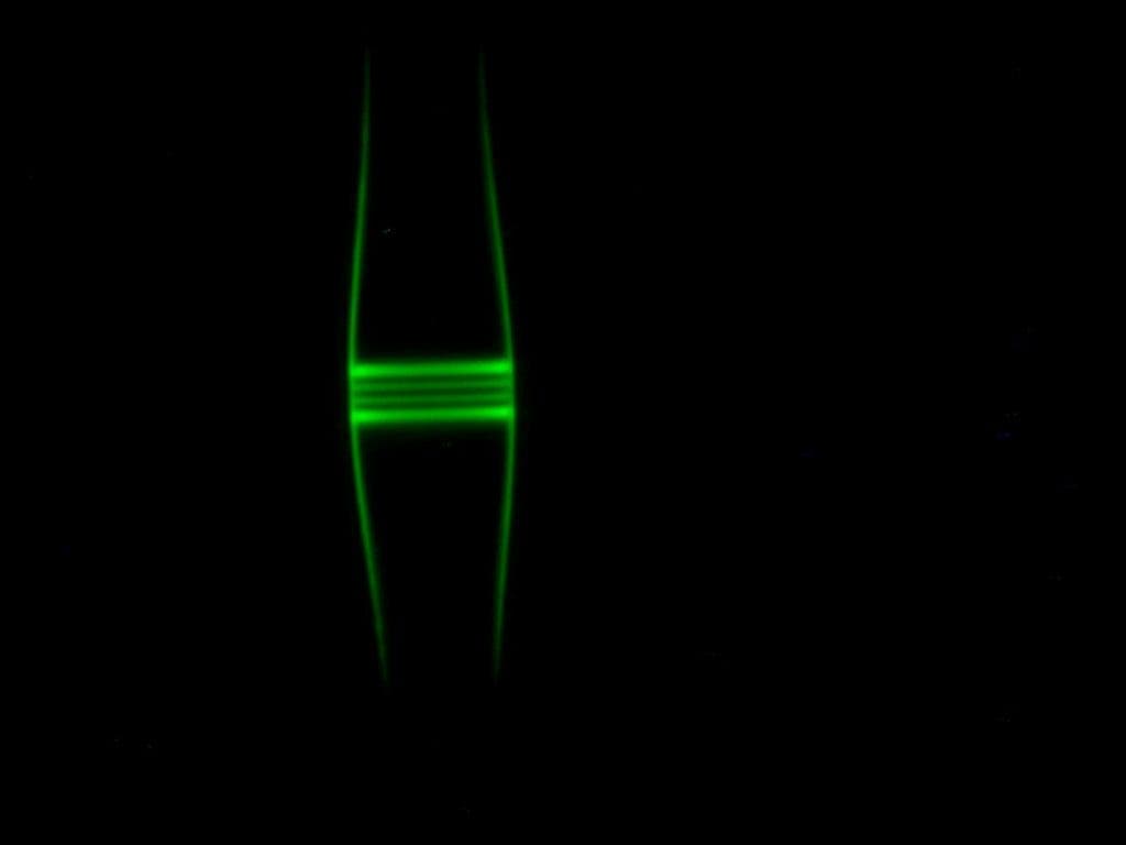 Light runs around a bottle-shaped glass fiber, about half as thick as a human hair.  (Photo Credit: TU Wien)