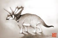 Pentaceratops aquiloniua (artistic depiction). Via Bath University.