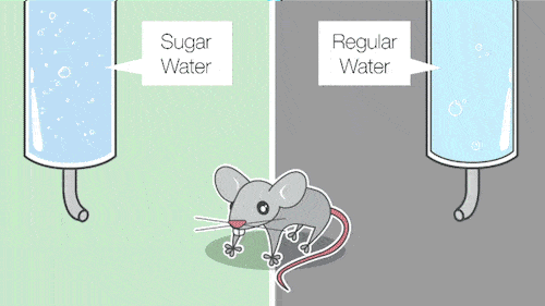 sugar water