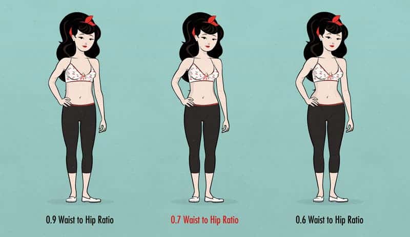 Different hip-to-waist ratios. Image source.