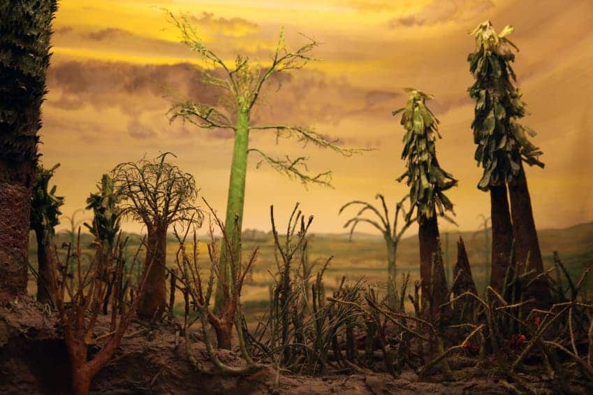 Acidic rain may have caused the Permian Extinction. Image via MIT.