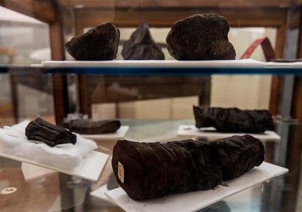 Charred scrolls from Herculaneum. Credit Salvatore Laporta/Associated Press.