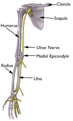 Ulnar nerve palsy. Orthopaedic Knowledge Online 2009. Accessed August 2011.