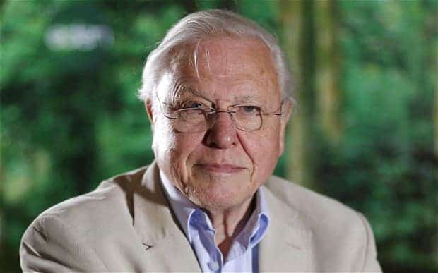 Sir David Attenborough. Photo: PA