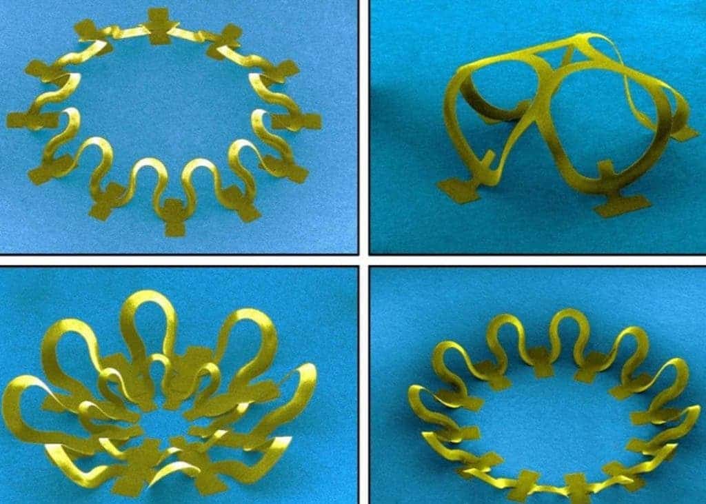 Various examples of flower-like structures formed from a two-dimensional structure transferred onto a stretched elastic material. Credit: University of Illinois