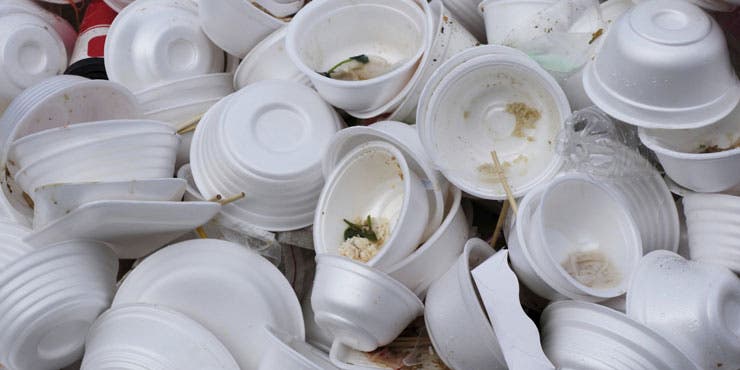 New York City announced a ban on styrofoam - users have until July 2015 to find an alternative. Image via Black Business Now.