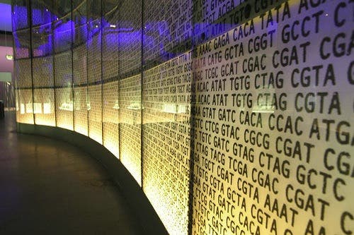 DNA coding info